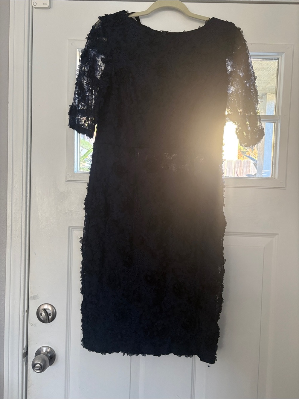 Women's Navy Textured Lace Sheath Dress